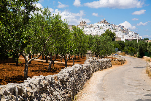 Ostuni is also known as the White City for its characteristic white colour,