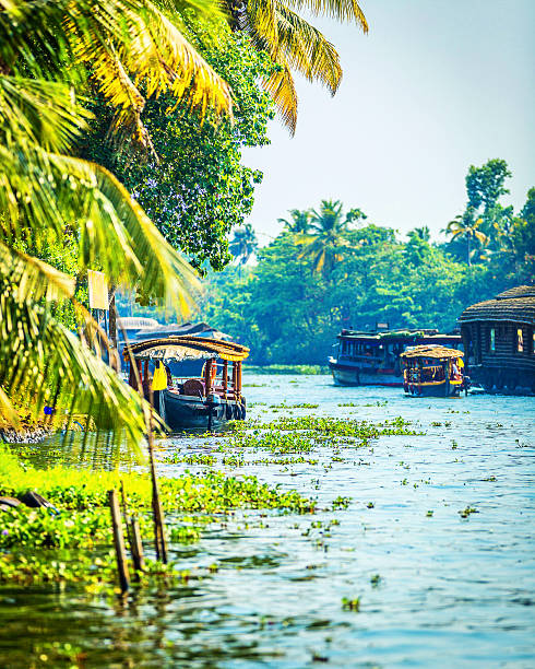 istock Traditional Houseboat on Kerala Backwaters 521386680