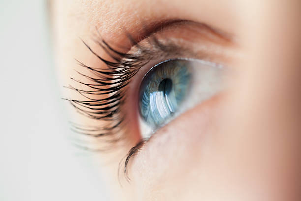 Very Shallow DOF. Developed from RAW; retouched with special care and attention; Small amount of grain added for best final impression. 16 bit Adobe RGB color profile