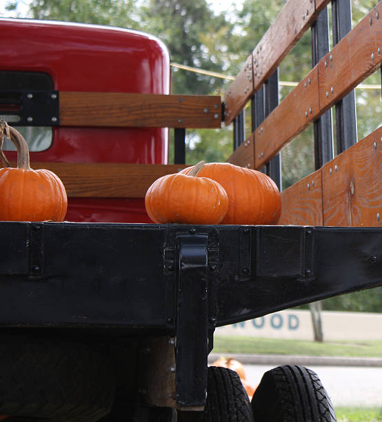 istock Pumpkins on truck bed 521399671