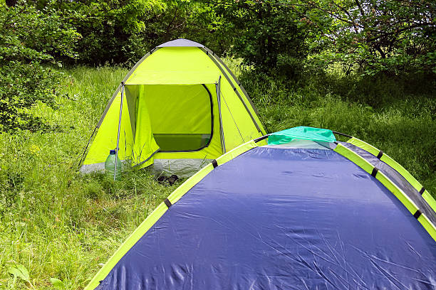 istock Campground in the morning forest 521400013