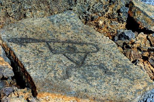 Ancient Hawaiian ancesters left their mark on stone>  These  petroglphys, or primative drawing was discovered on the Malama Trail on the Big Island of Hawaii.