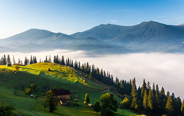 istock Beautiful summer landscape in the mountains 521401499