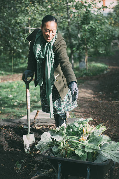 istock Woman working in the garden 521401523