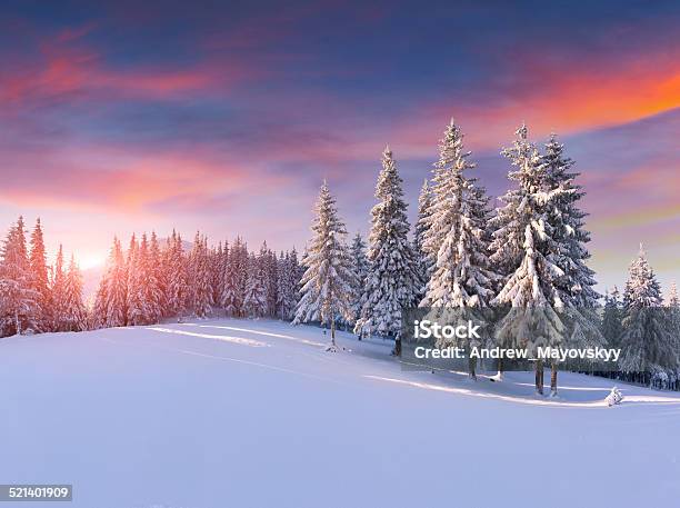 Bunte Wintersonnenaufgang In Den Bergen Stockfoto und mehr Bilder von Winter - Winter, Landschaft, Schnee