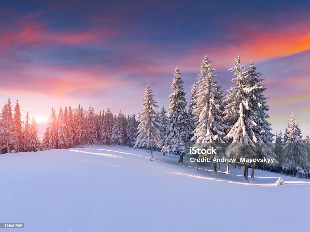 Colorato alba in montagna d'inverno - Foto stock royalty-free di Inverno