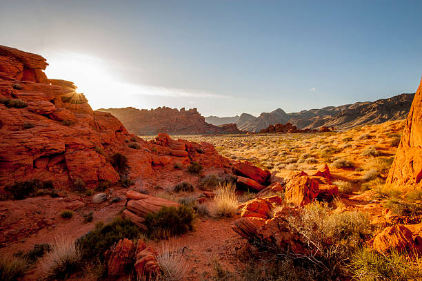 istock Valley of Fire State Park, Nevada, USA 521402283
