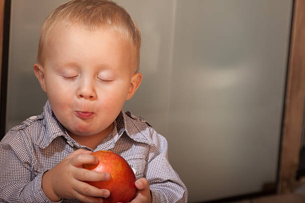 istock Little boy child kid eating apple fruit at home 521402555