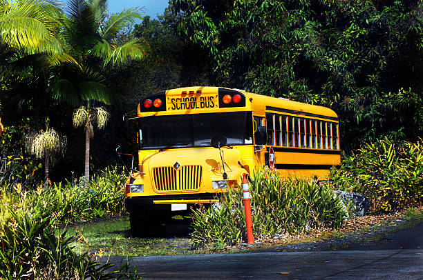 istock End of School day on Big Island 521403813