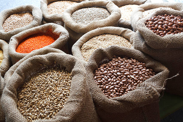 istock Beans, rice, lentils, oats, wheat, and barley in jute sack 521404569