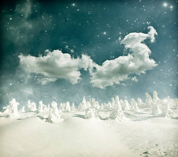 istock winter landscape - snow covered trees and sky with stars 521404985
