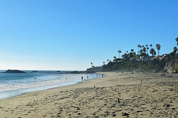 istock Laguna Beach Coastline & Gardens 521405263