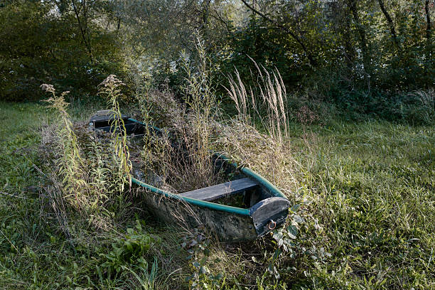 olvidado barco en otoño - vergessen fotografías e imágenes de stock