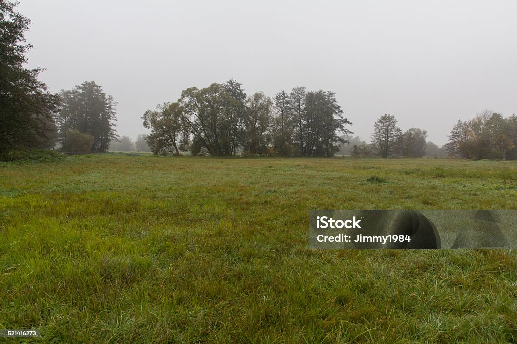 autumn landscape foggy landscape next to Schwandorf in bavaria in fall Agricultural Field Stock Photo