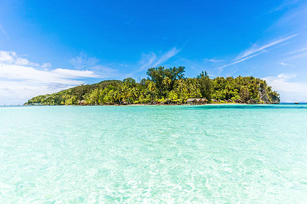 istock View of Tropical Island 521417204