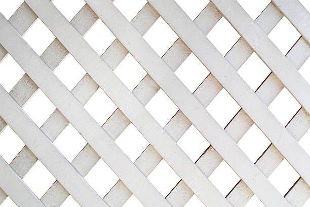 istock White painted garden trellis. 521417673
