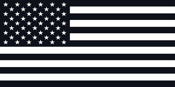 American Flag Illustration - VECTOR vector art illustration