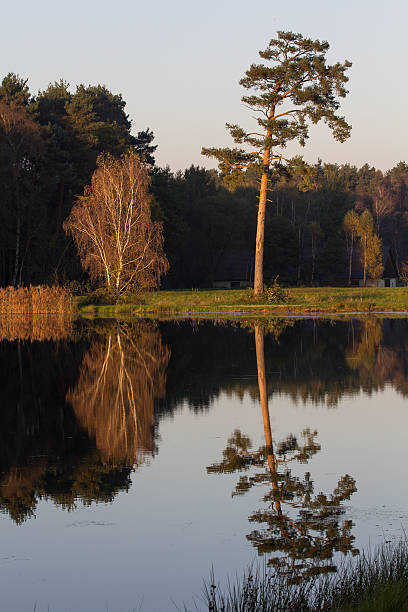 istock little lake in autumn 521417895