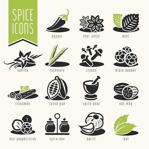 Spice icon set vector art illustration