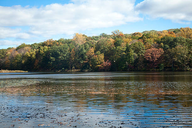 istock Rockefeller State Park Preserve at Autumn 521420053