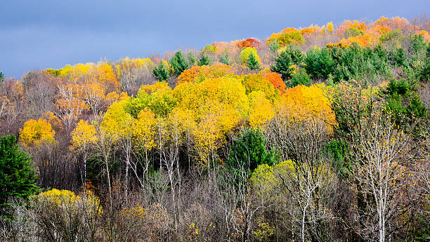 Fall Foliage - Bennington, Vermont stock photo