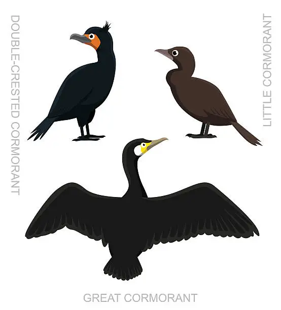 Vector illustration of Bird Cormorant Set Cartoon Vector Illustration