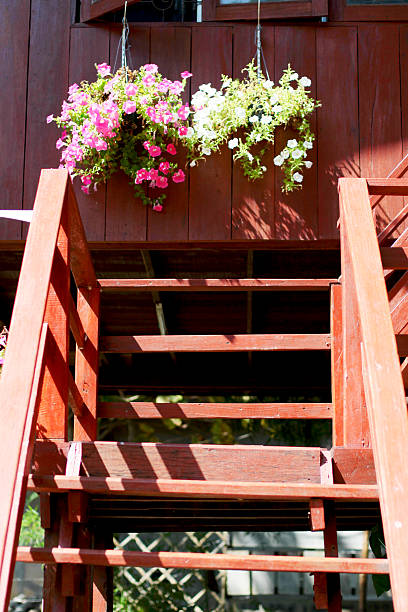 istock Colorful hanging flower basket 521427298