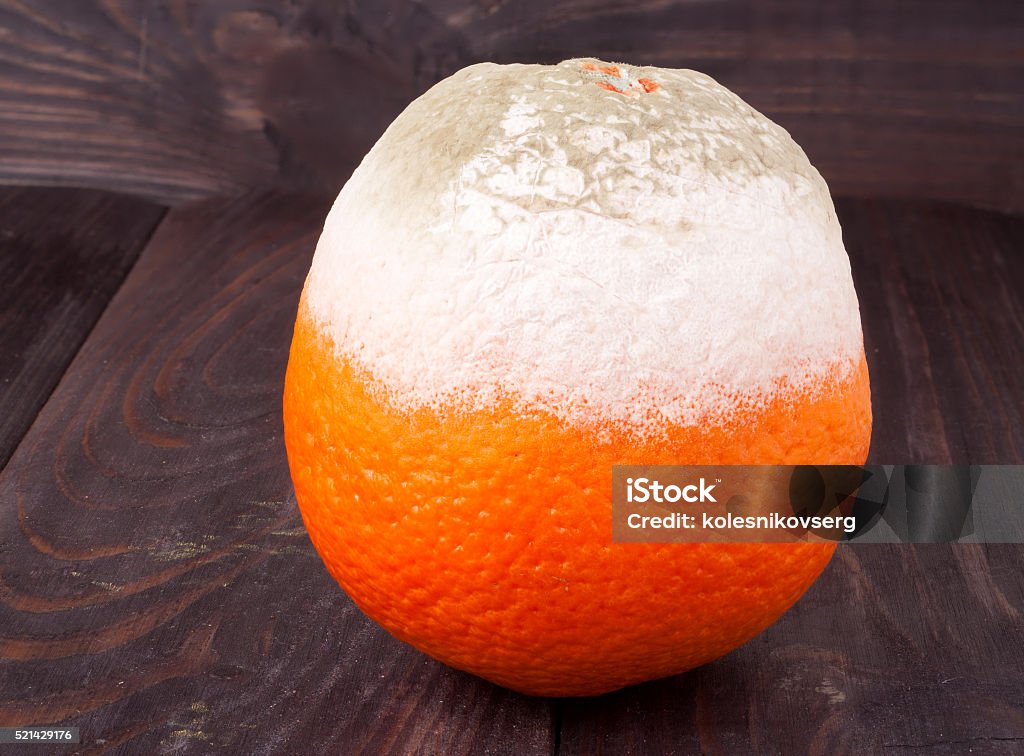 moldy orange on a blackboard close-up macro moldy orange on a blackboard close-up macro. Backgrounds Stock Photo