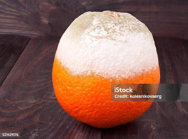 Moldy Orange On A Blackboard Closeup Macro Stock Photo - Download Image Now - Backgrounds, Citrus Fruit, Close-up