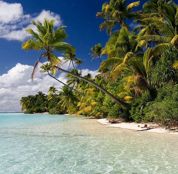 istock Tropical Paradise - The Cook Islands 521430218