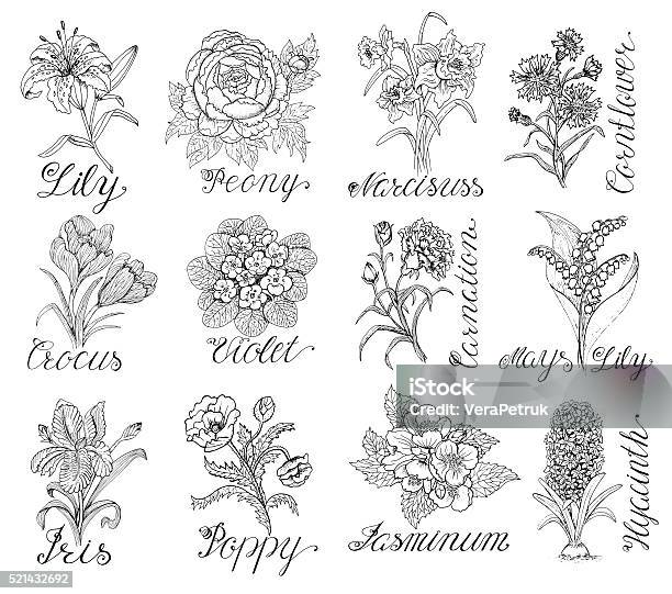 Set With Vintage Flowers And Calligraphy Text Stock Illustration - Download Image Now - Flower, Violet - Flower, Line Art