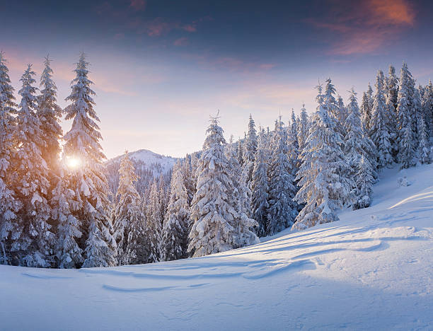 istock Beautiful winter sunrise in the mountains. 521436653