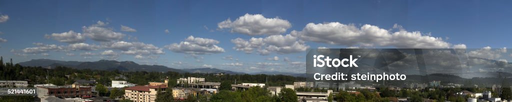 Eugene Oregon Panorama Eugene Oregon Panorama. All trademarks removed Eugene - Oregon Stock Photo