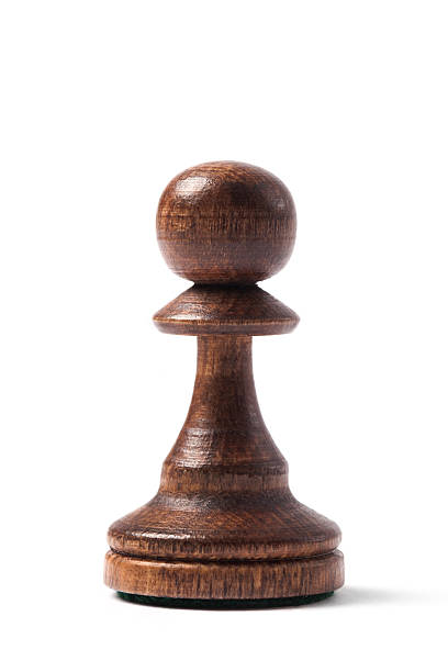 istock Brown Wooden Pawn - Chess Piece 521455201