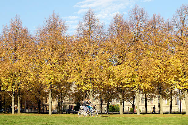 美しい秋のハノーバー - herrenhäuser gärten ストックフォトと画像