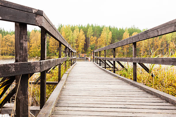 istock Ferry on lake in autumn 521456061