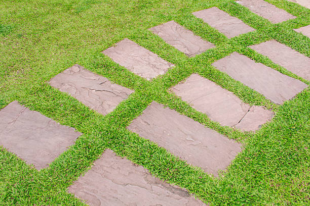 Stone walkway winding in garden