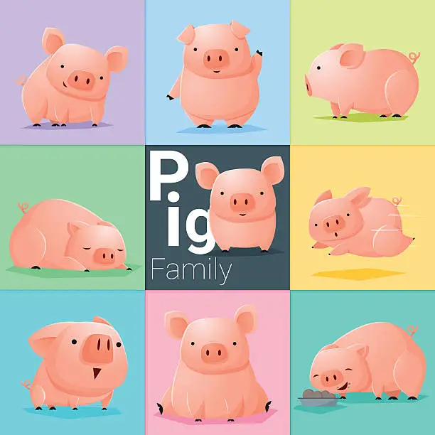 Vector illustration of Set of Pig family