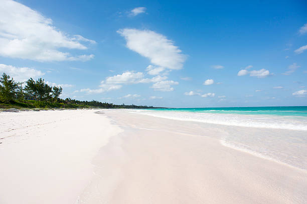 розовый песок - eleuthera island стоковые фото и изображения