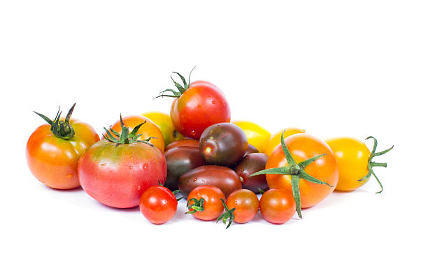 istock Variety of different colour tomatoes 521459656