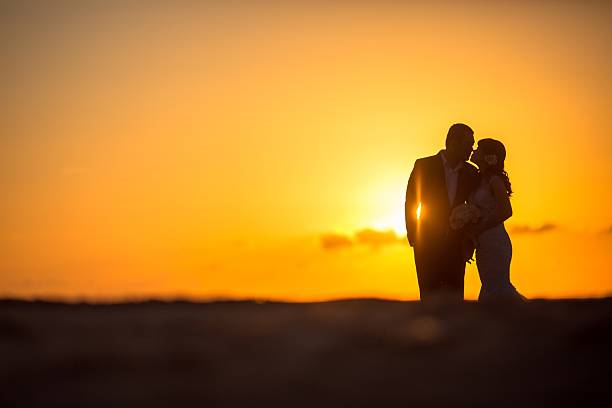 istock Beautiful bride and groom at the beach 521459896
