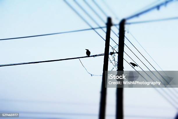 Power Lines And The City Life Stock Photo - Download Image Now - Aerial Lead, Alternating Current, Blue