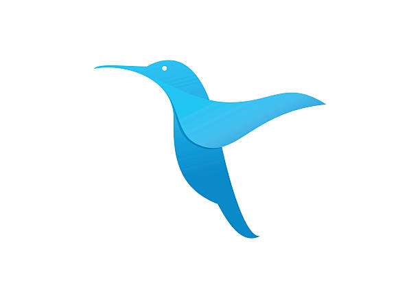 Flying hummingbird or logo template. vector art illustration