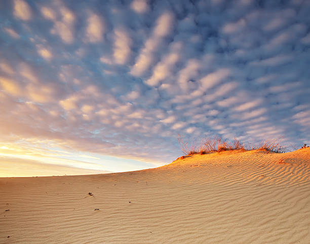 istock Beautiful landscape in desert. 521467418