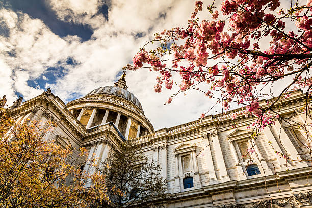 kopuła z st. paul's katedra i wiśnia kwiat, londyn, wielka brytania - christopher wren zdjęcia i obrazy z banku zdjęć