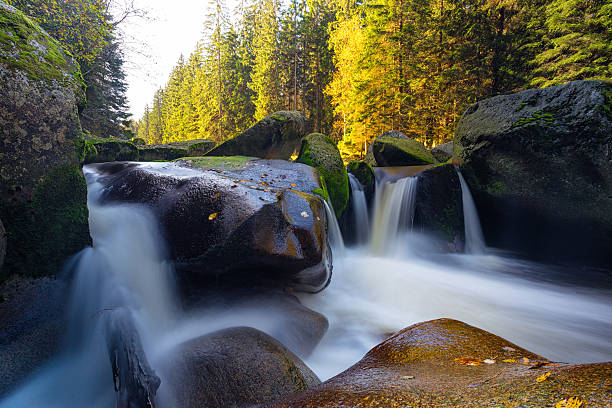 istock River with stones in the national park. 521467563