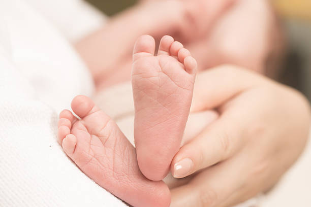istock Baby feet in mother hands. 521468908