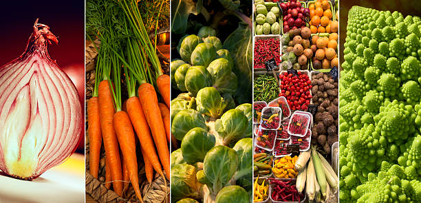 Fresh Vegetables