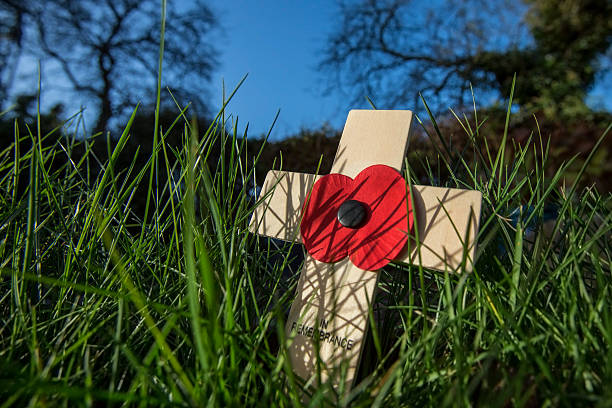 istock Remember the Fallen Heroes - Poppy Day 521469658