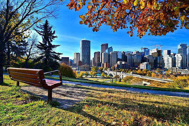 calgary skyline von einem park im herbst, kanada - financial district calgary business built structure stock-fotos und bilder